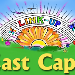 Linkup-EastCape
